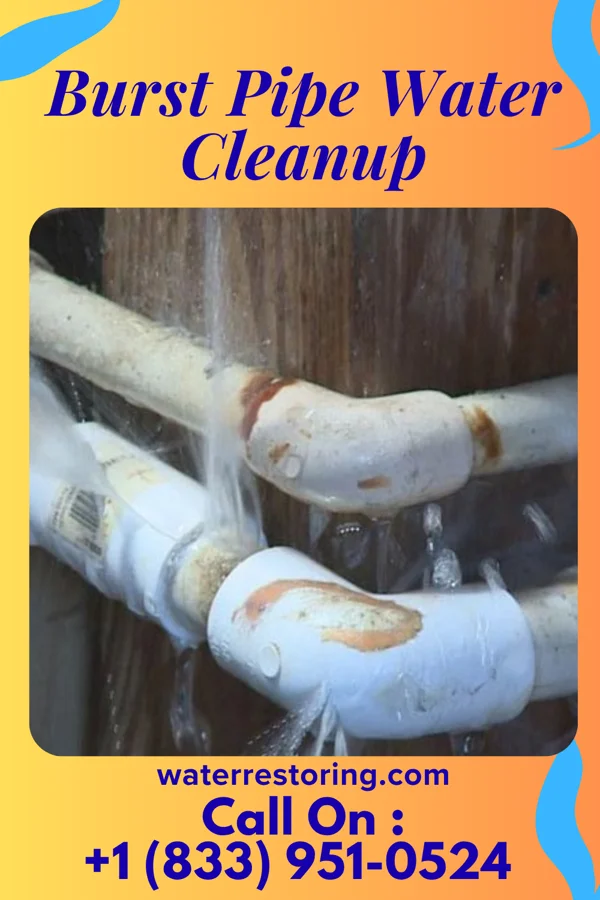 Burst Pipe Water Cleanup in Hickam Housing, HI