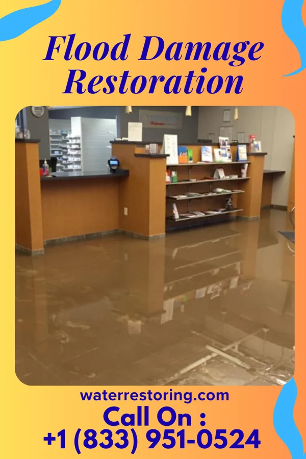 Flood Damage Restoration in Hickam Housing, HI