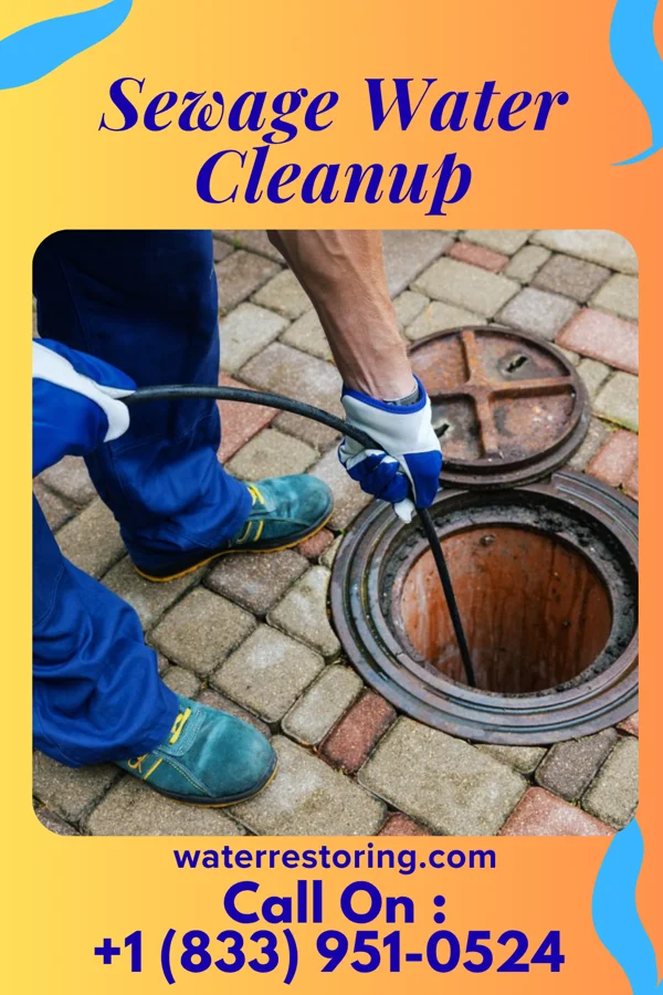 Sewage Water Cleanup in Hickam Housing, HI