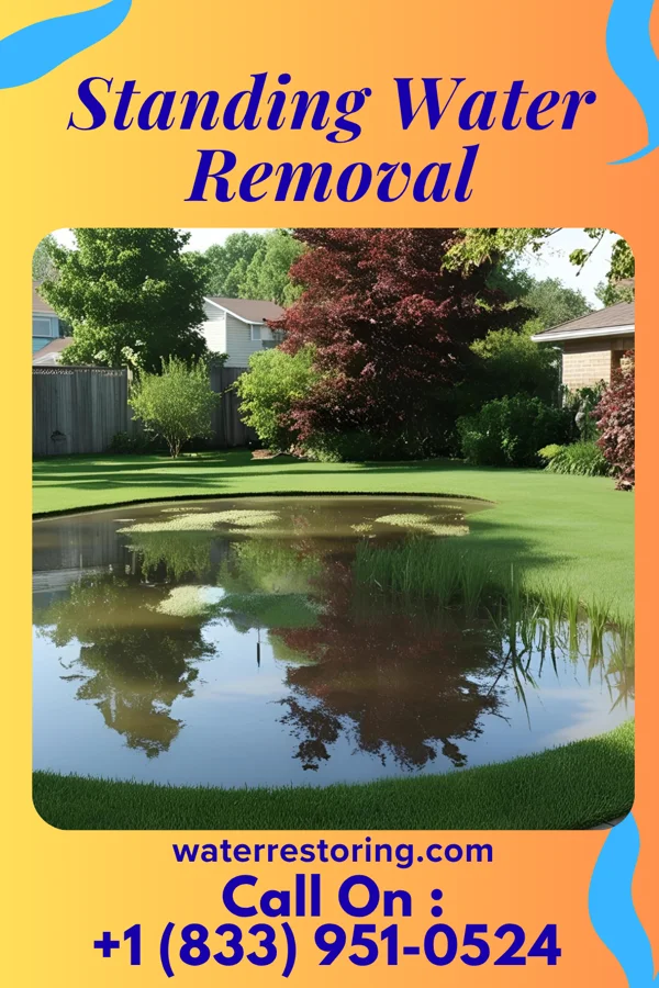 Standing Water Removal in Hickam Housing, HI